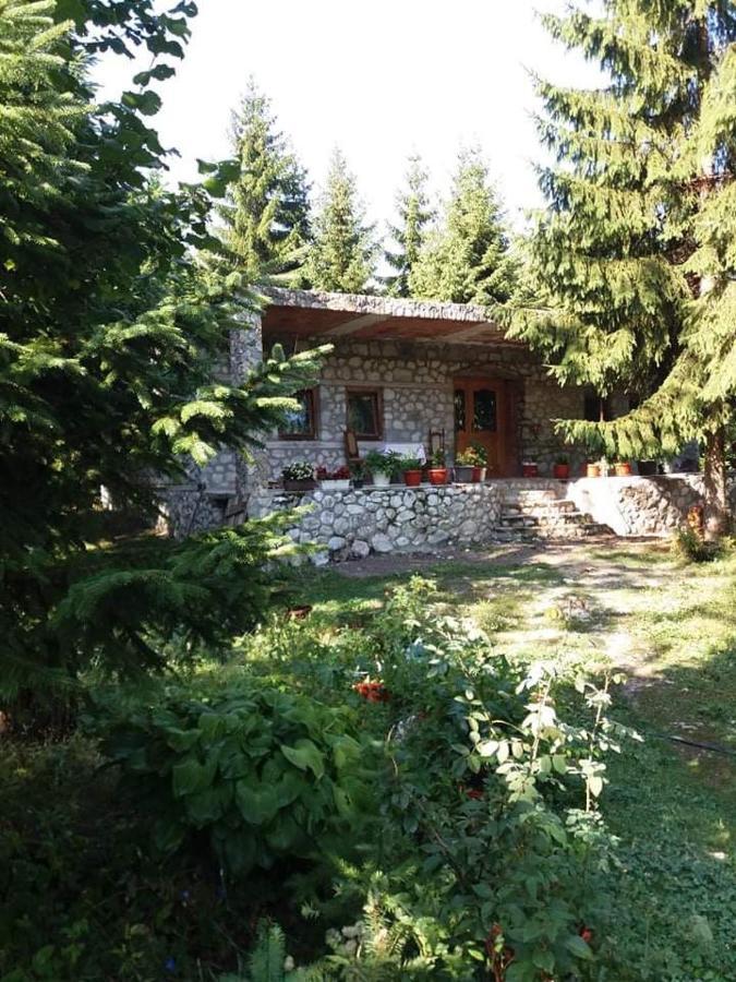 Guest House Hyrmet Demushi Valbone Bagian luar foto