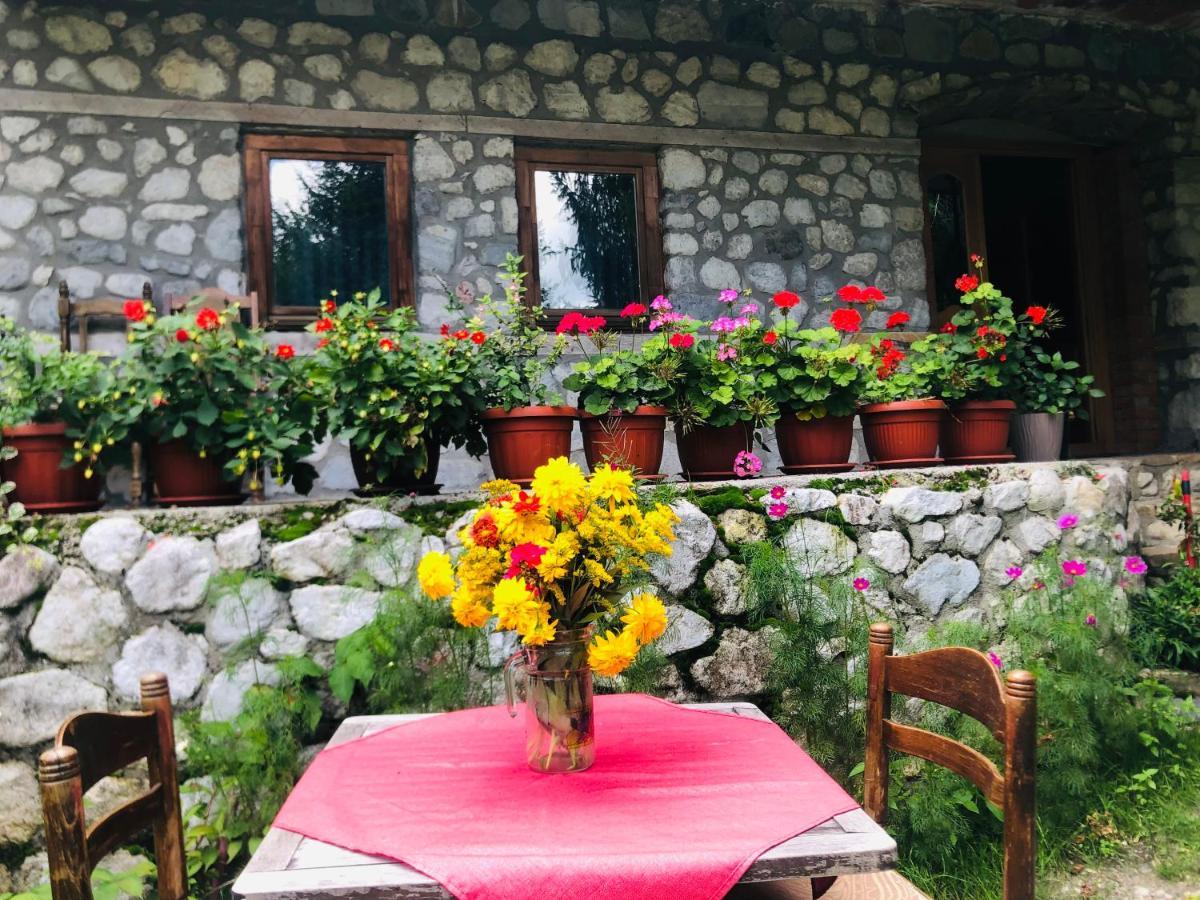 Guest House Hyrmet Demushi Valbone Bagian luar foto