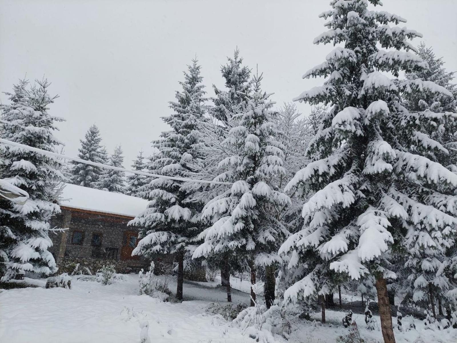 Guest House Hyrmet Demushi Valbone Bagian luar foto