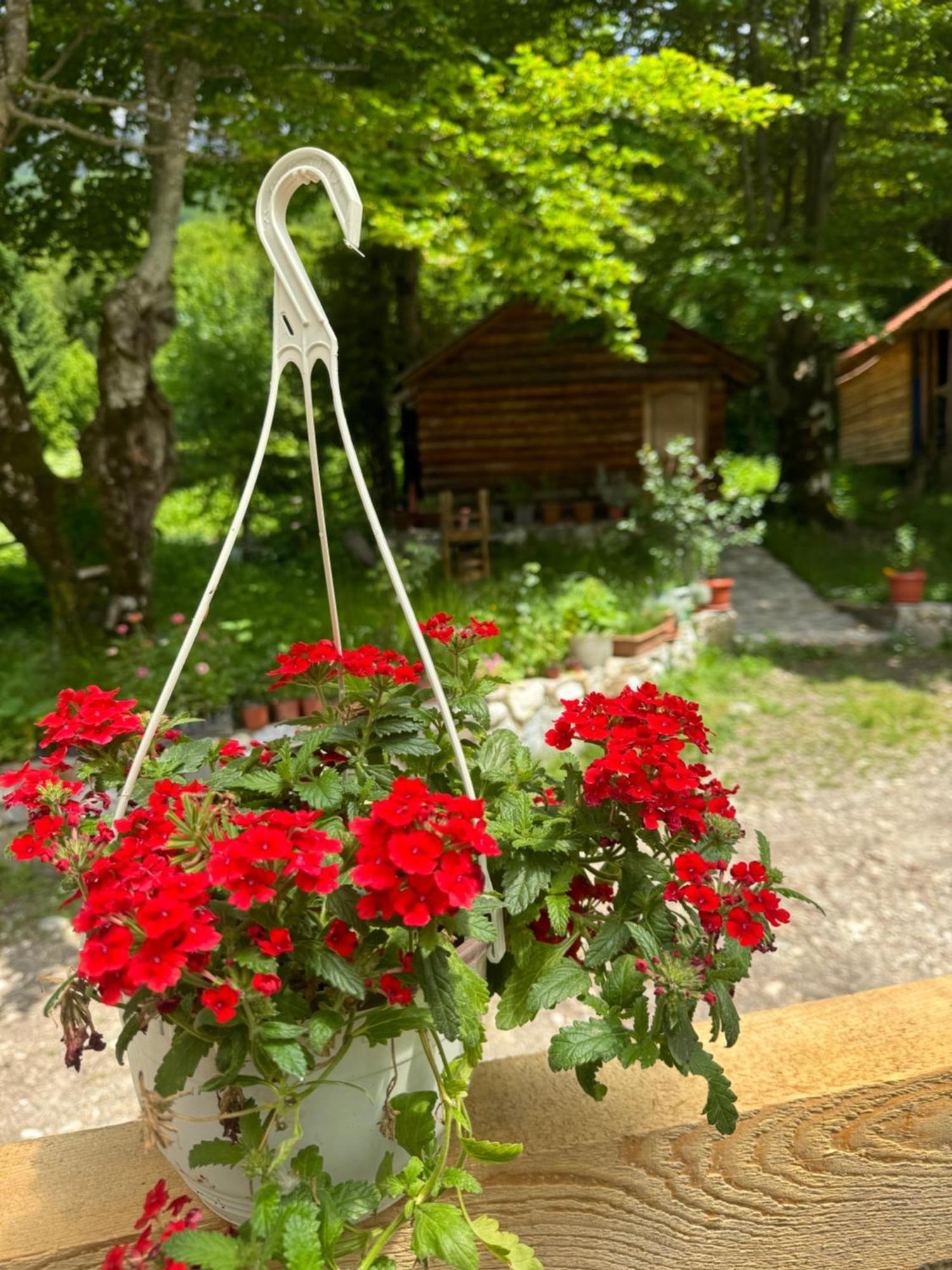 Guest House Hyrmet Demushi Valbone Bagian luar foto