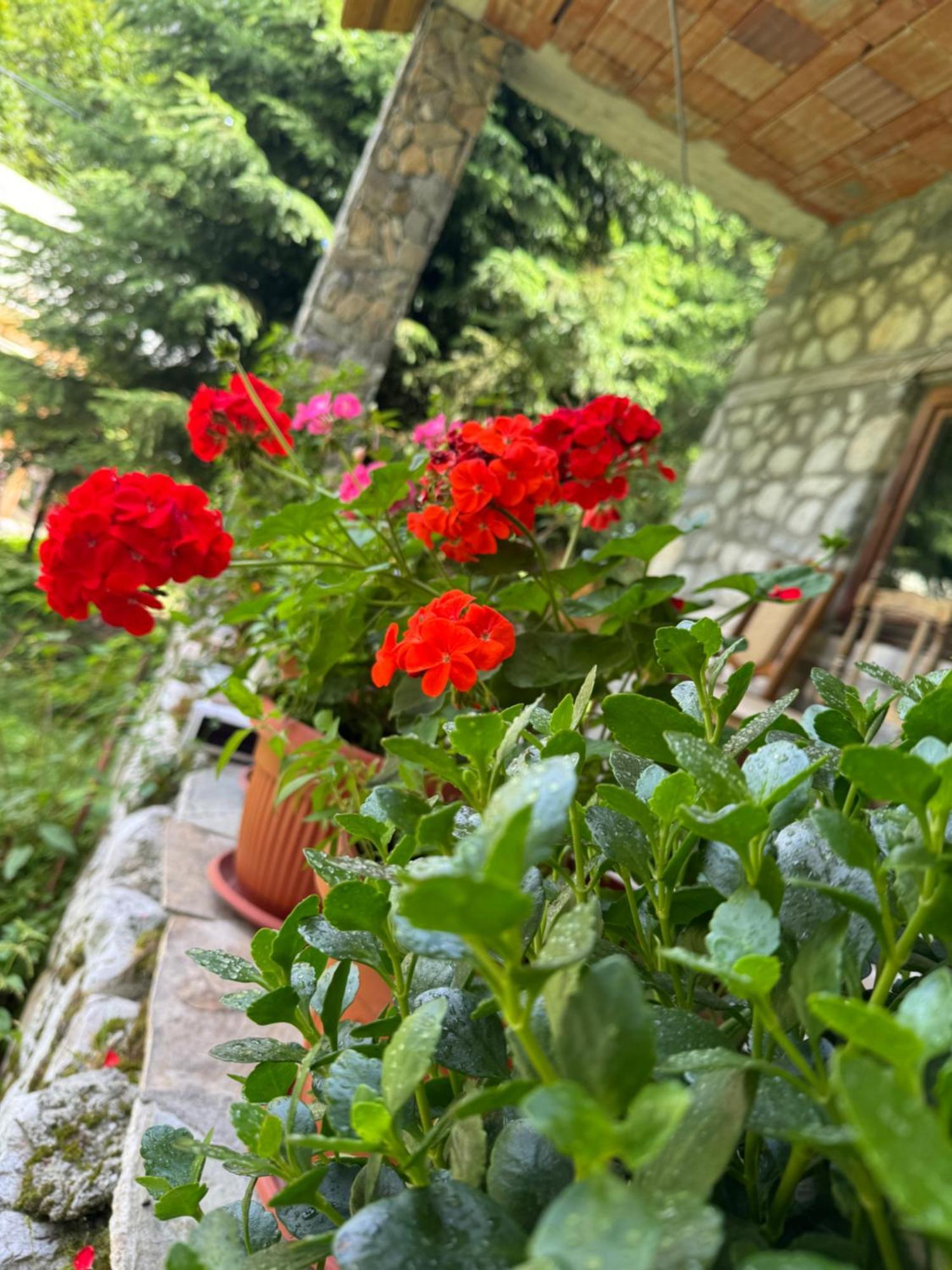 Guest House Hyrmet Demushi Valbone Bagian luar foto