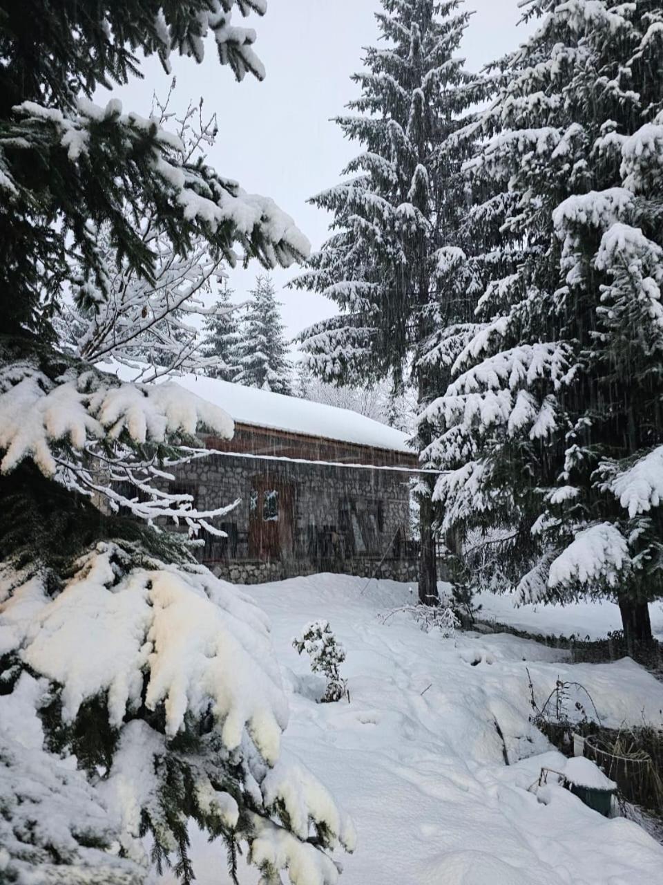 Guest House Hyrmet Demushi Valbone Bagian luar foto