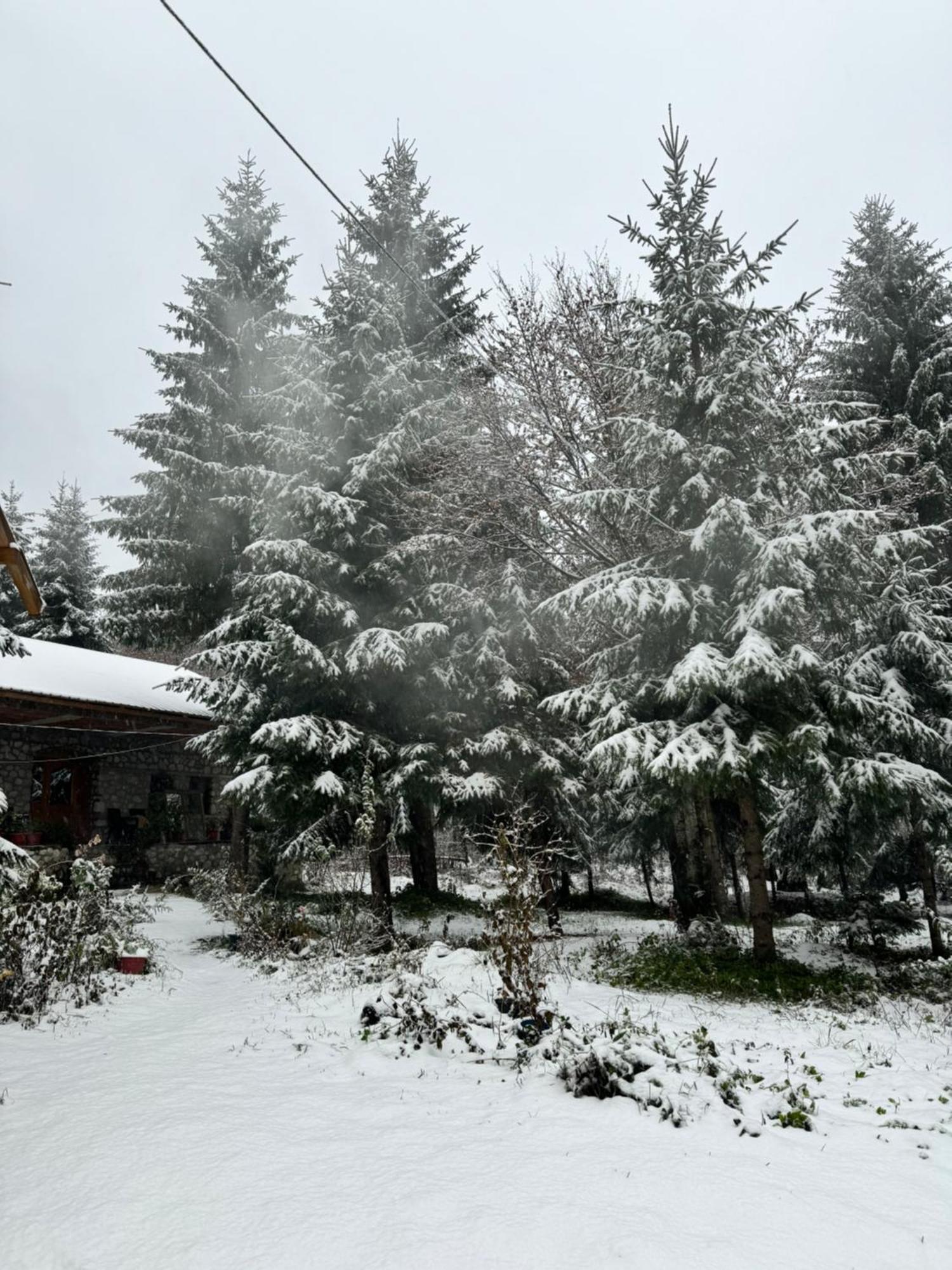 Guest House Hyrmet Demushi Valbone Bagian luar foto