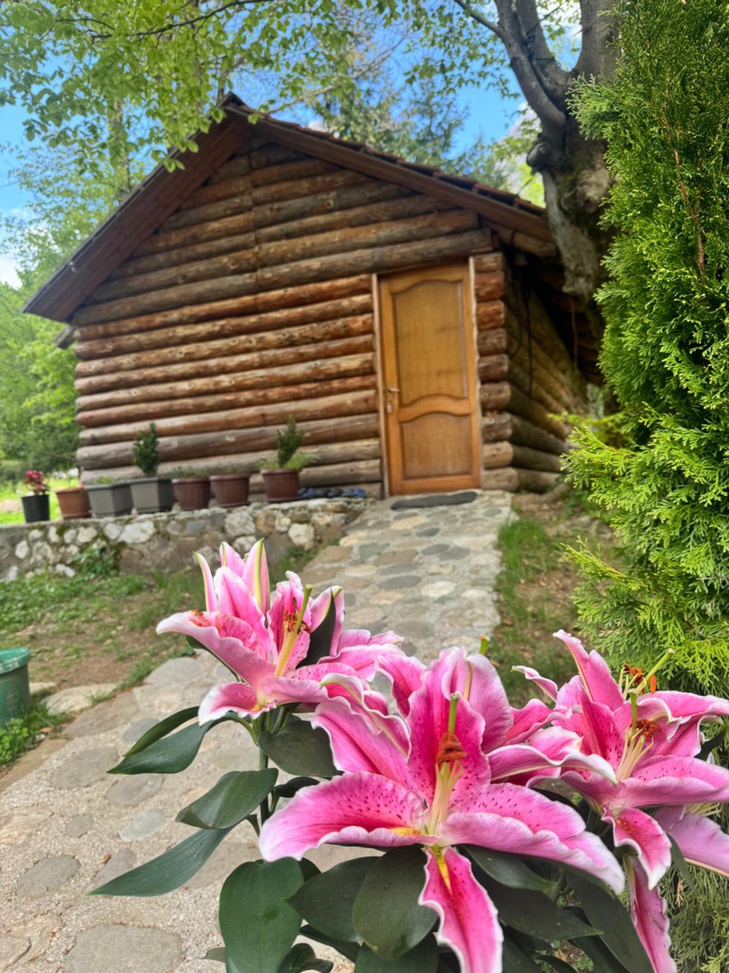 Guest House Hyrmet Demushi Valbone Bagian luar foto