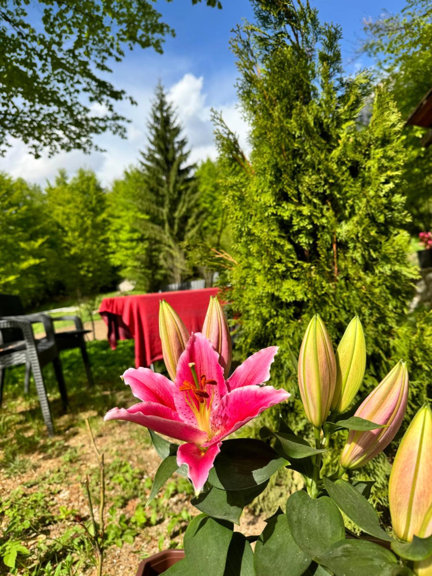 Guest House Hyrmet Demushi Valbone Bagian luar foto